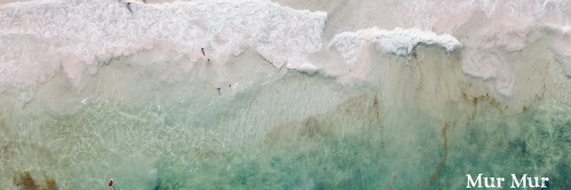 MurMurTulum's profile banner image
