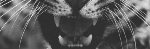 annso_D Profile Banner