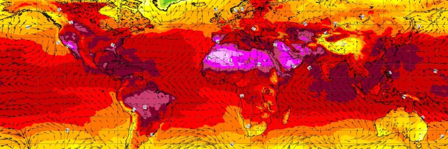only coming back when musk & trump gone banner