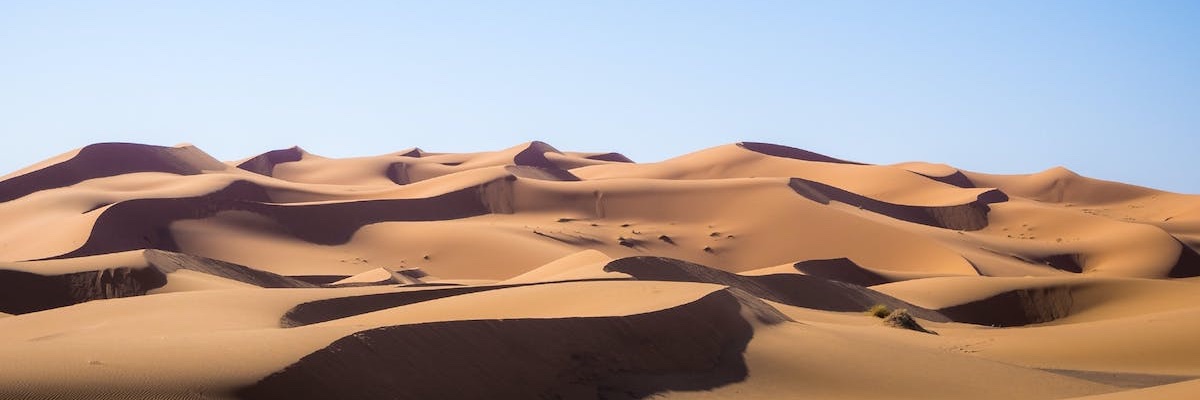 halebanc's profile banner image