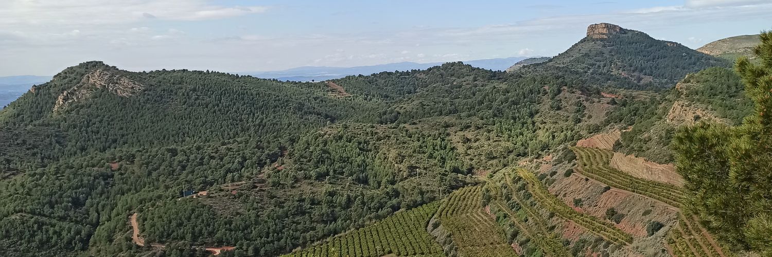 AngelPerezColl's profile banner image