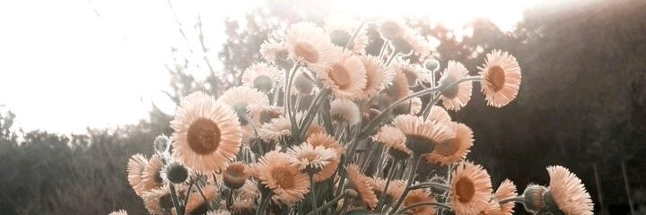 lugarciam's profile banner image
