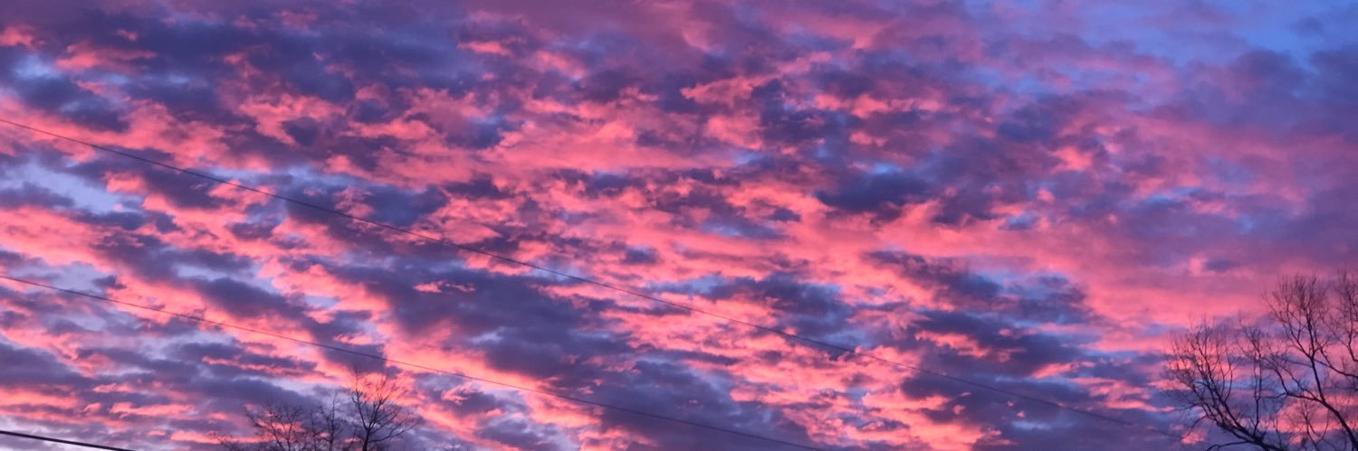 trinityyfuller's profile banner image