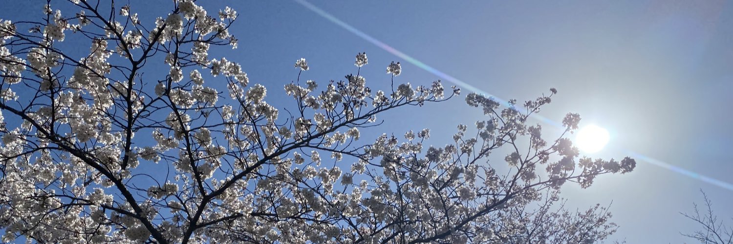 mzsen217's profile banner image