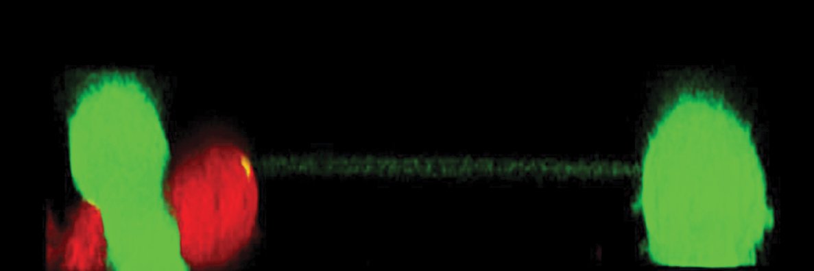 CorbeilDenis's profile banner image