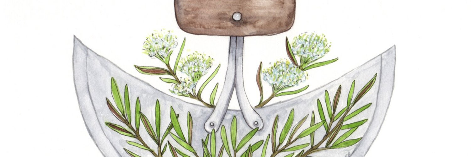 Nasugraq R. Hopson (EAGLE DRUMS book) banner