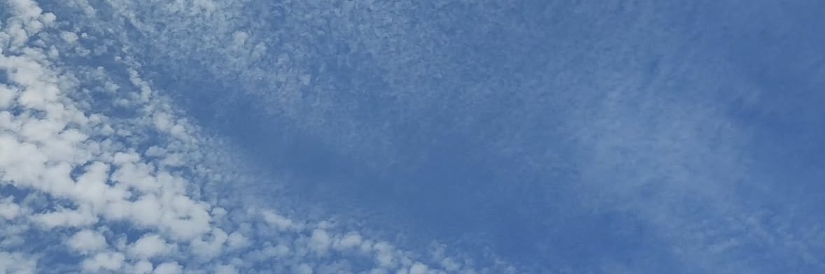_ivienen's profile banner image