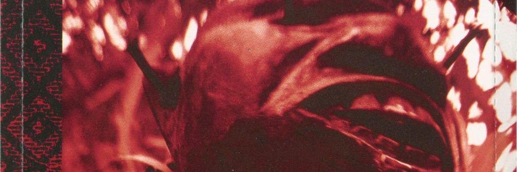 jebolanossa's profile banner image