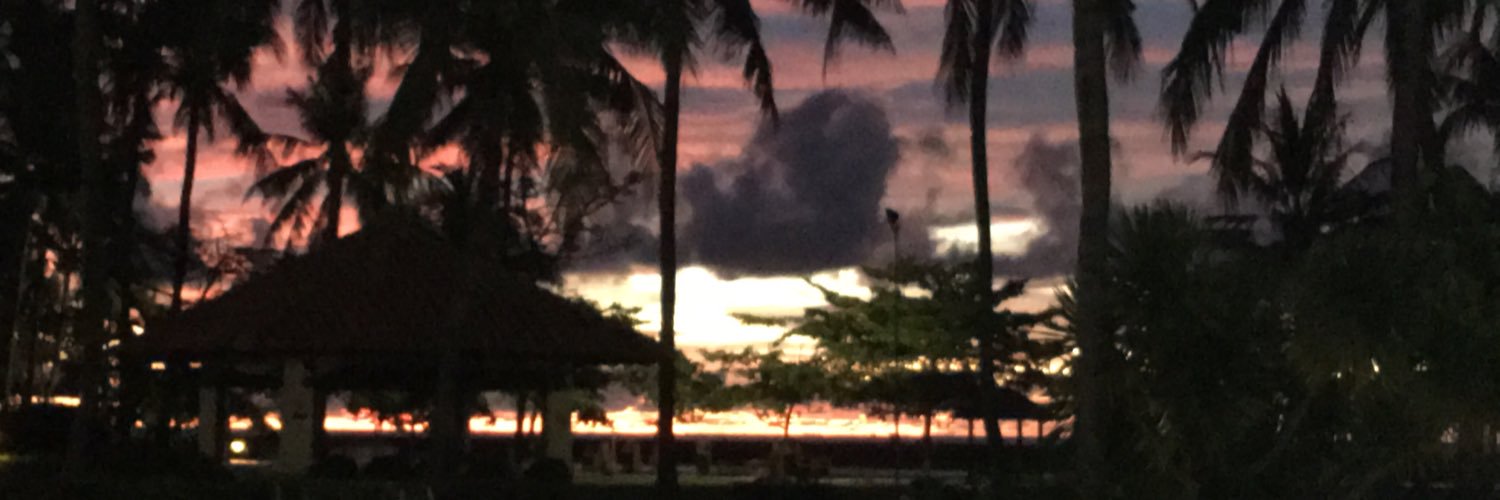 PLeonMelgar's profile banner image