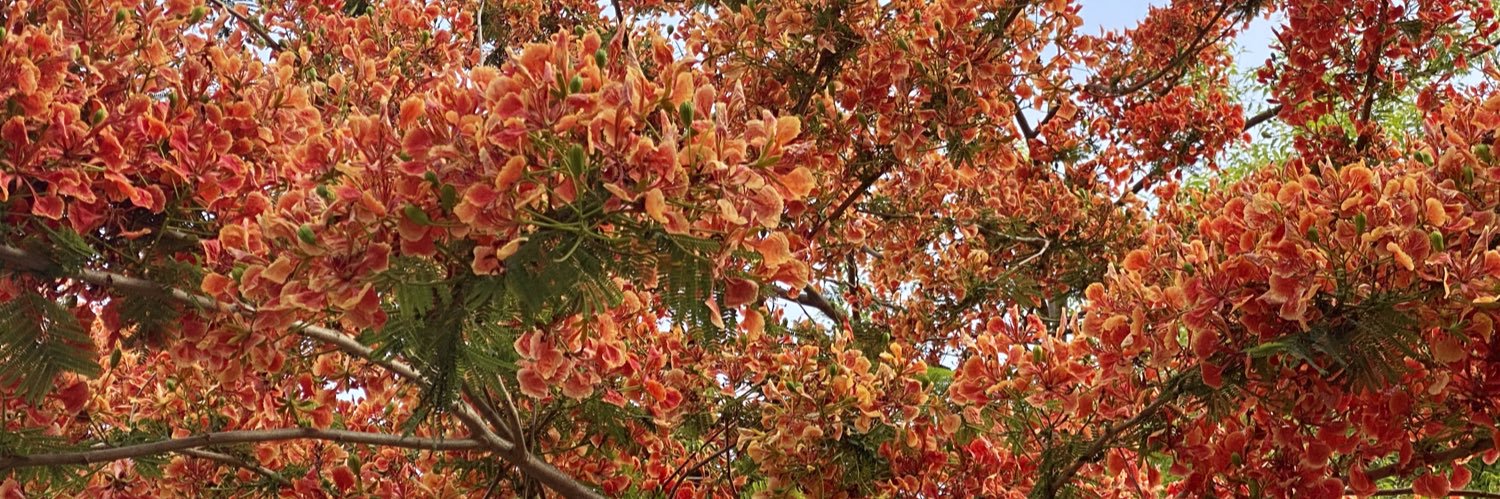 Ram Dutt Tripathi banner