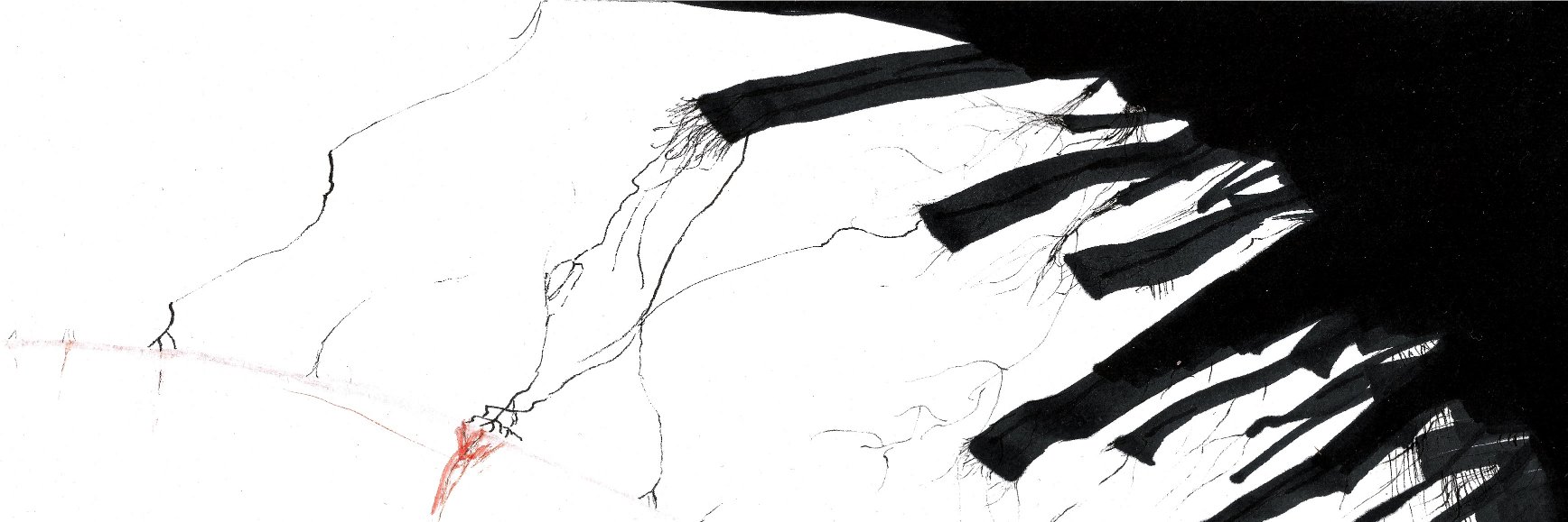 Odeko__'s profile banner image