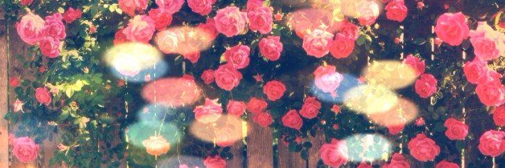 AleeRamos04's profile banner image