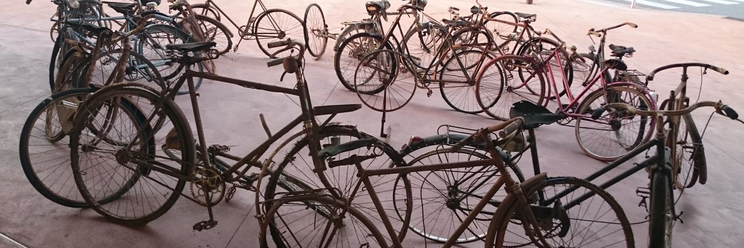 Carmen de Miguel banner