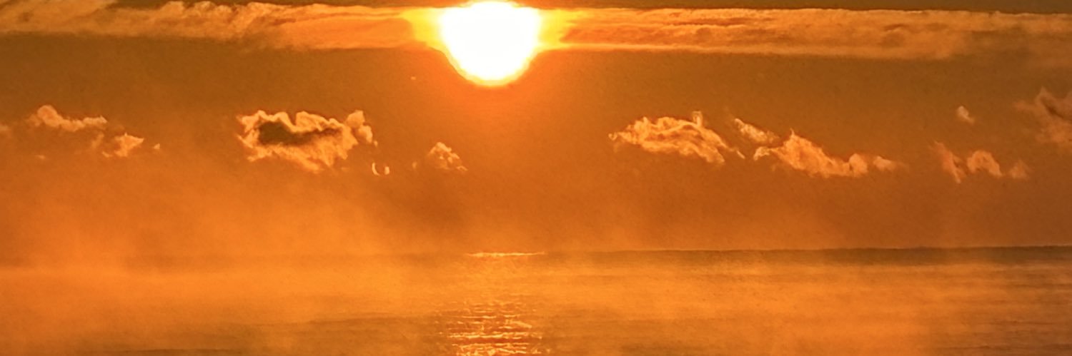 robasheh's profile banner image
