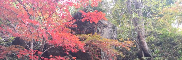 FiAbvi Profile Banner