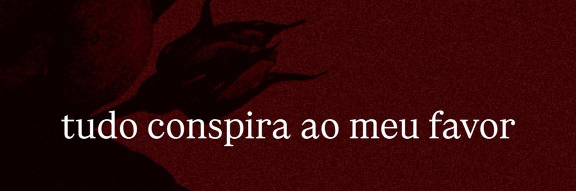 mdonola's profile banner image