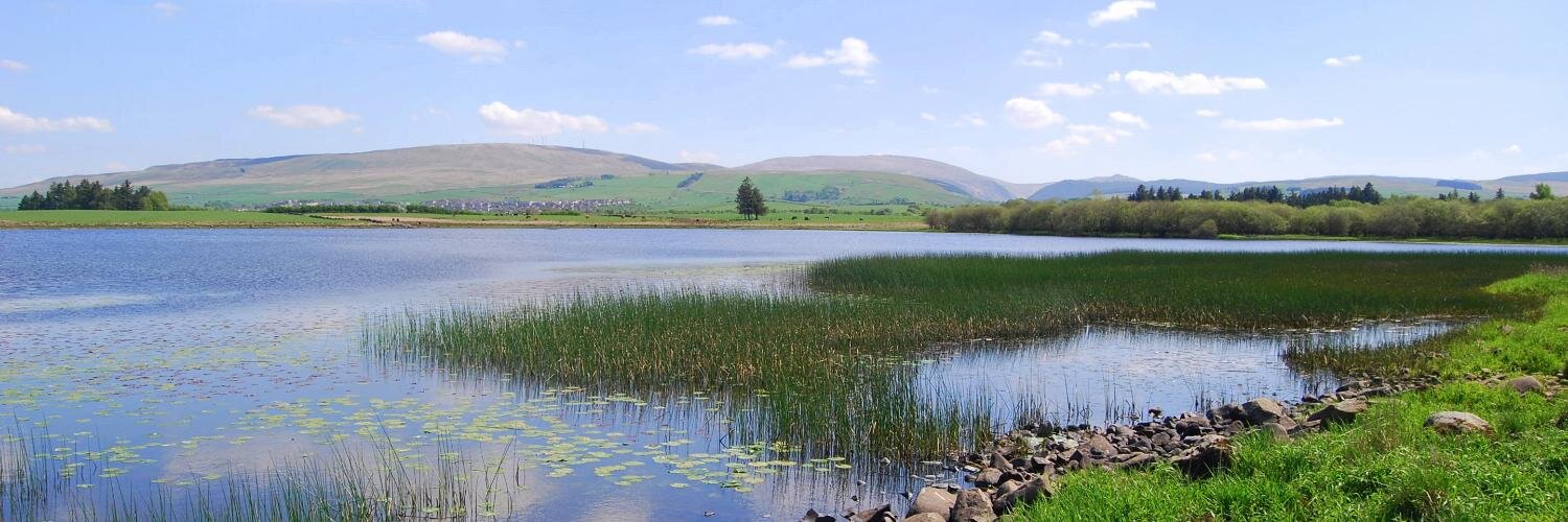 NewCumnock's profile banner image