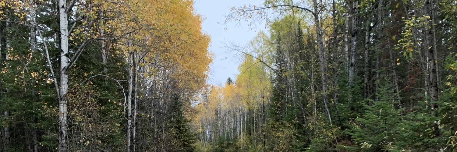AllySiatecki's profile banner image