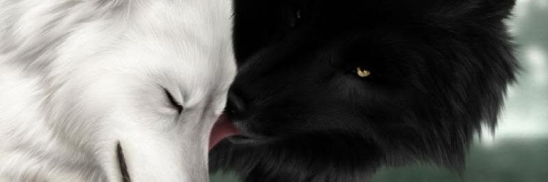 lauraw210's profile banner image