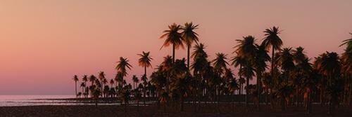Jamie_Chiostri's profile banner image