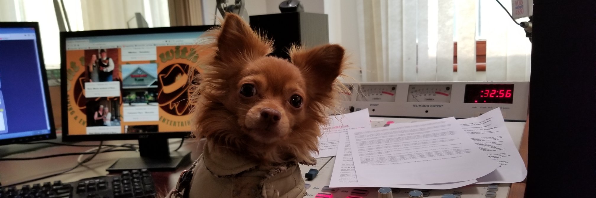 TeddyGoodpup's profile banner image