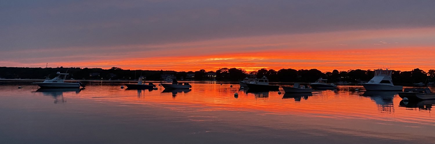 ShyannSimon's profile banner image
