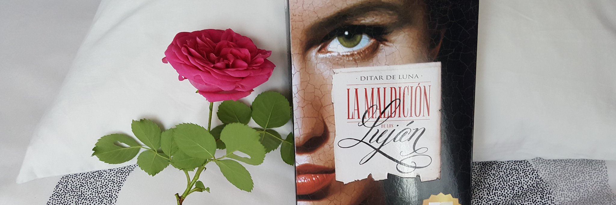 DitarDeLuna's profile banner image