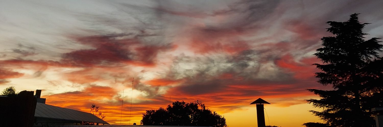 Aylenbutassi's profile banner image