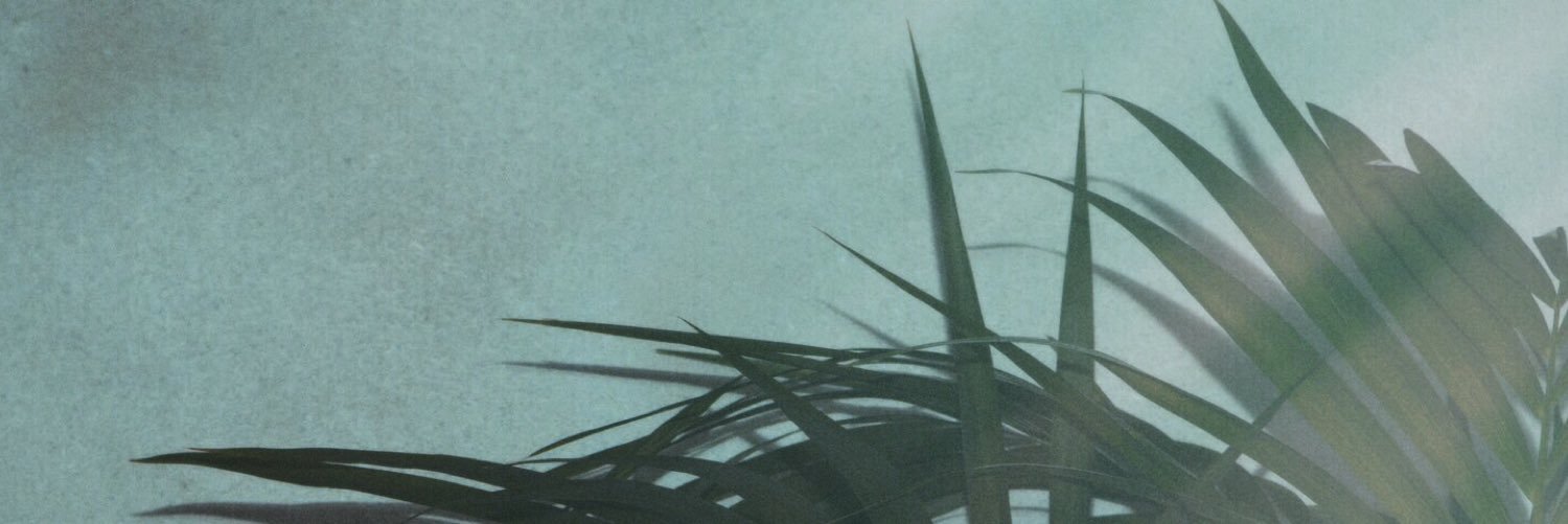 lilahoff's profile banner image