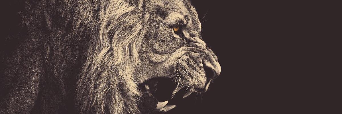 lanros_kike's profile banner image