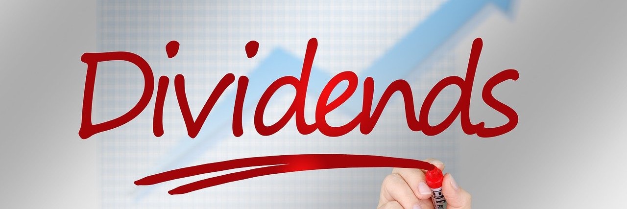 DividendGrowthZ's profile banner image