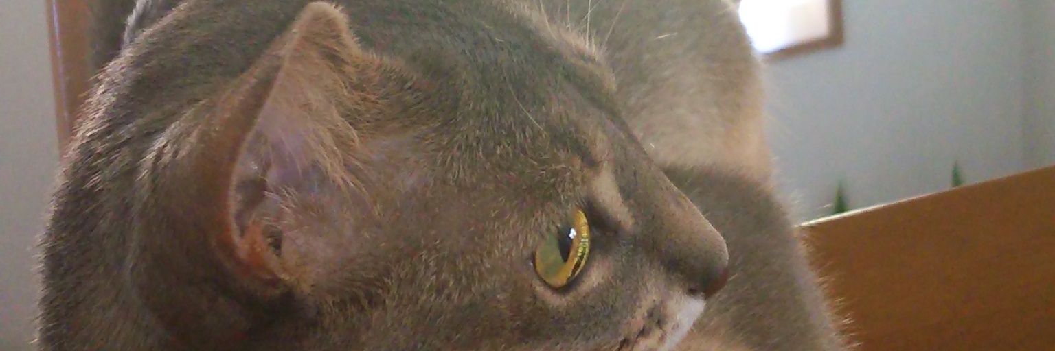KSDS5050's profile banner image