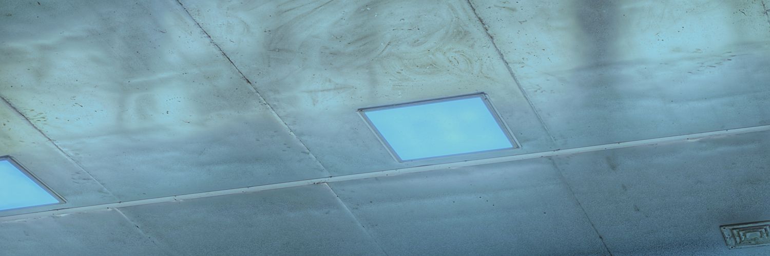 pallmall's profile banner image