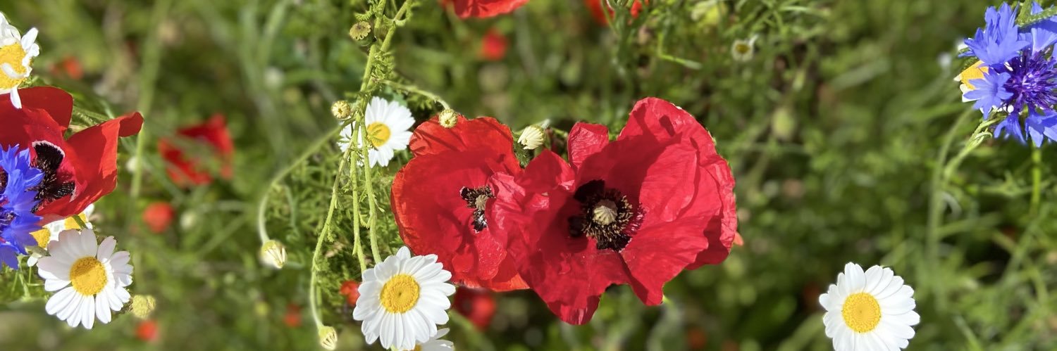 Kerry Singleton banner