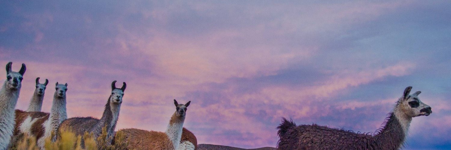 rodolrojas's profile banner image