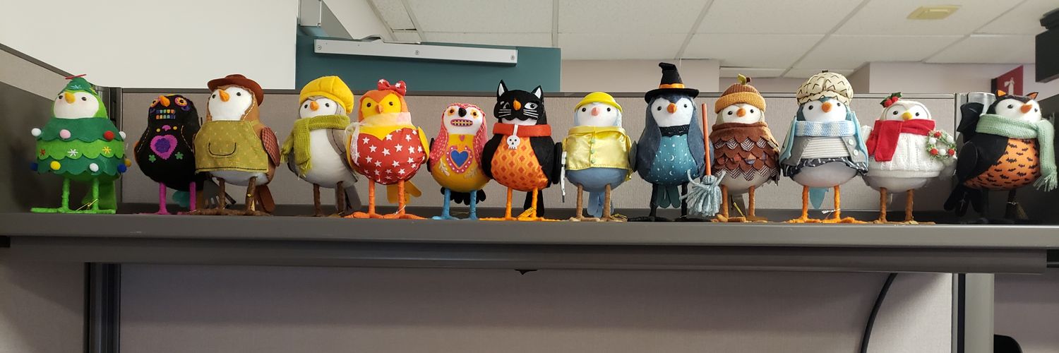 Dr. Kari St.Laurent banner