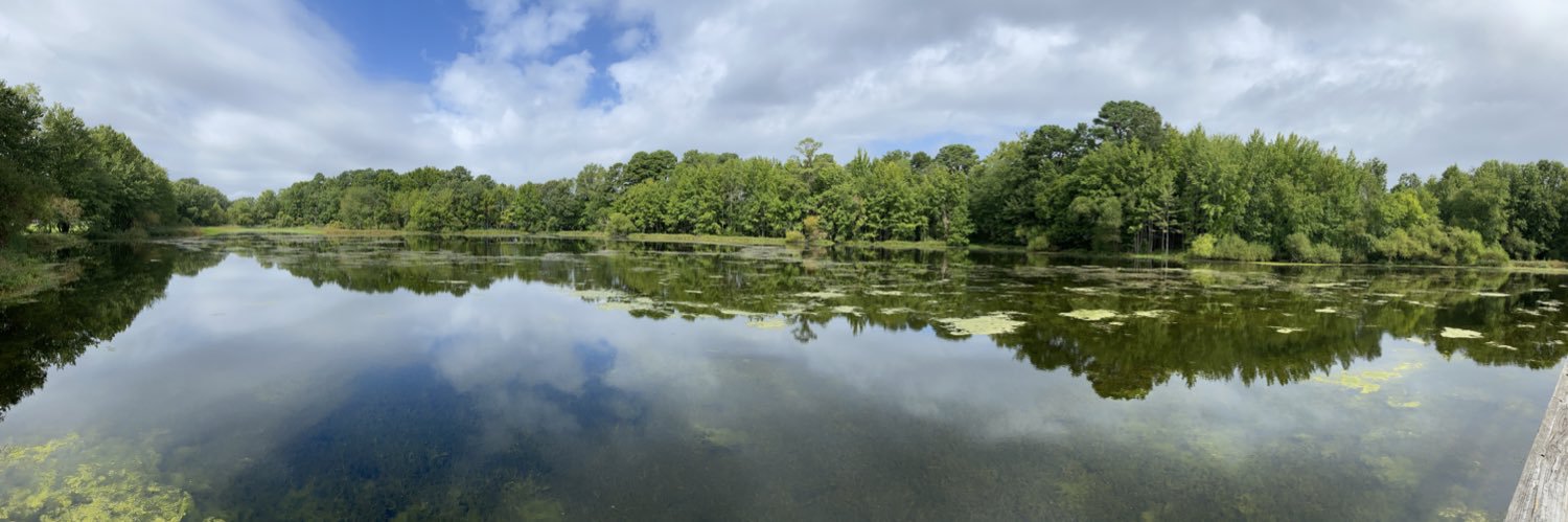 meaathompson's profile banner image