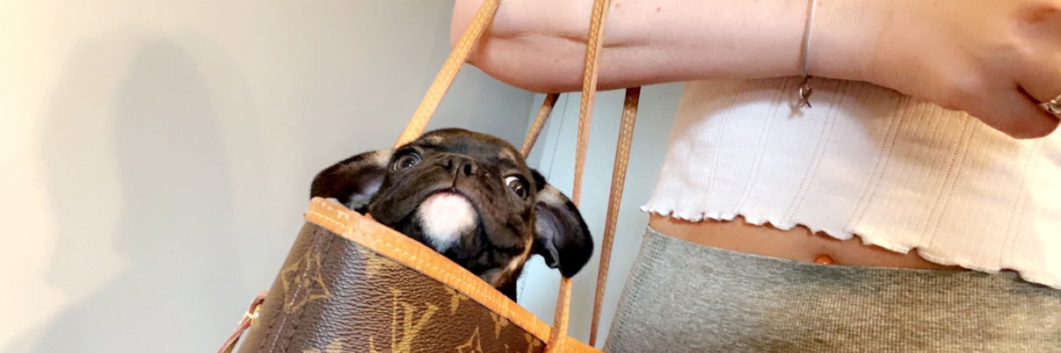 MalloryZyck's profile banner image