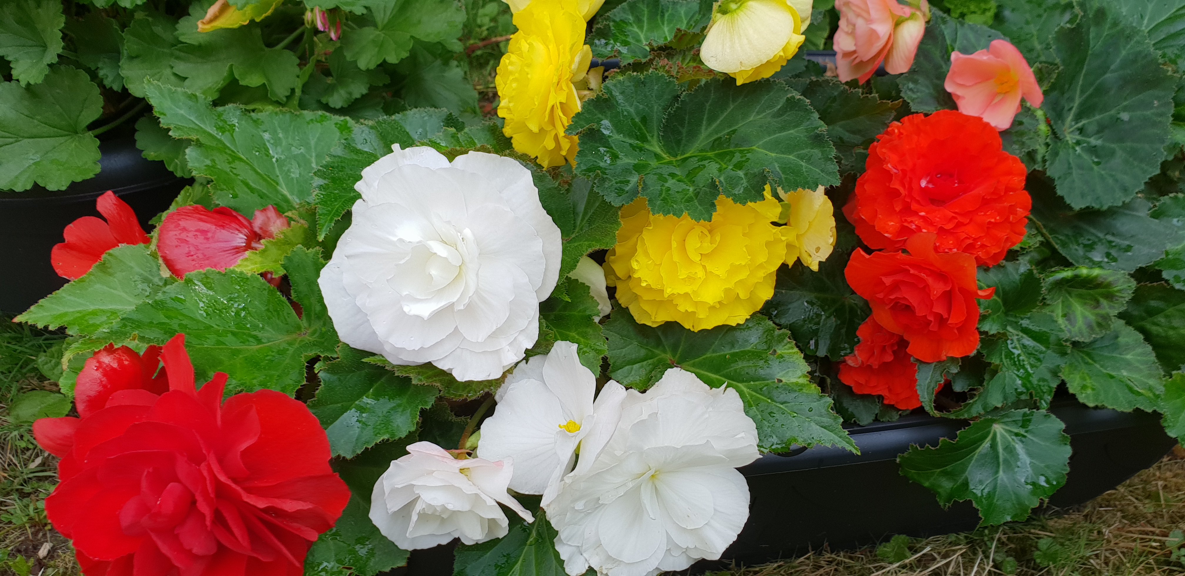 HPJ102's profile banner image