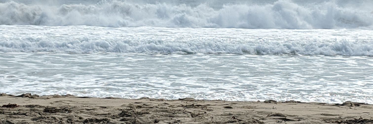 LV_Gal 🇺🇸 banner