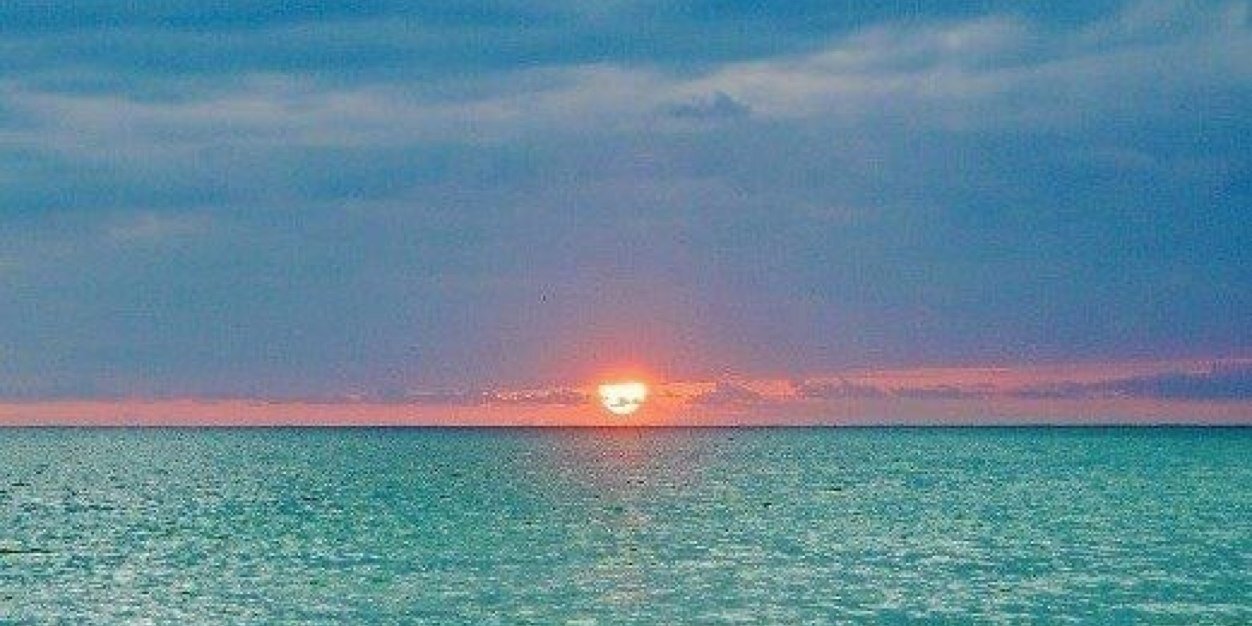 littlebos1's profile banner image