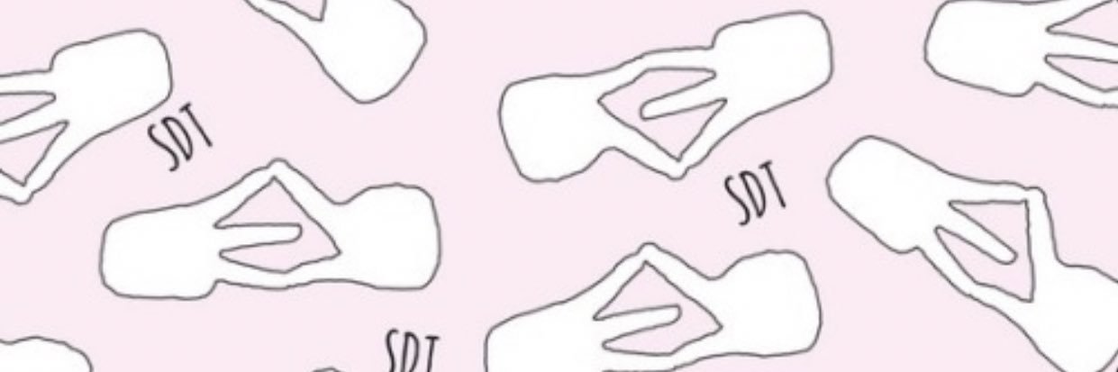 SDTNewPaltz's profile banner image