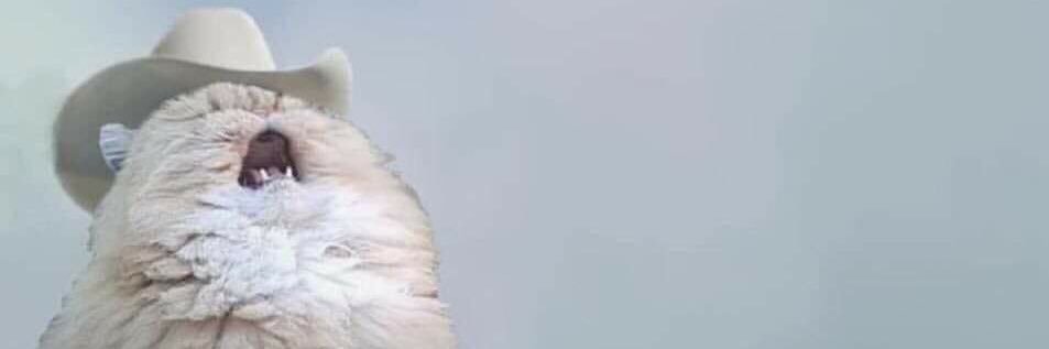 alysawho's profile banner image