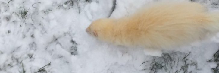 AndrewRyanbinns's profile banner image