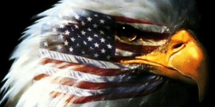 CJFallon22's profile banner image