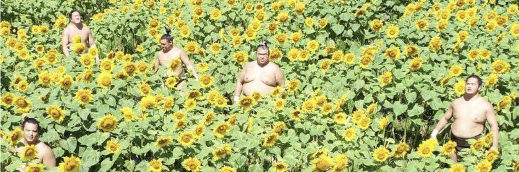 The Stride™ banner