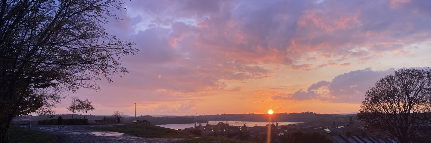 nataliemuttonx's profile banner image