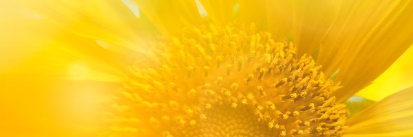 jnymackie Profile Banner