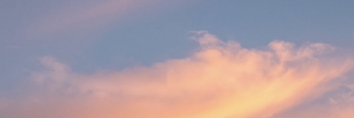 dinhora1003's profile banner image