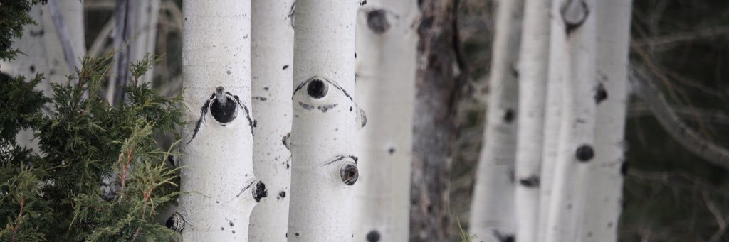 KristelHayes's profile banner image